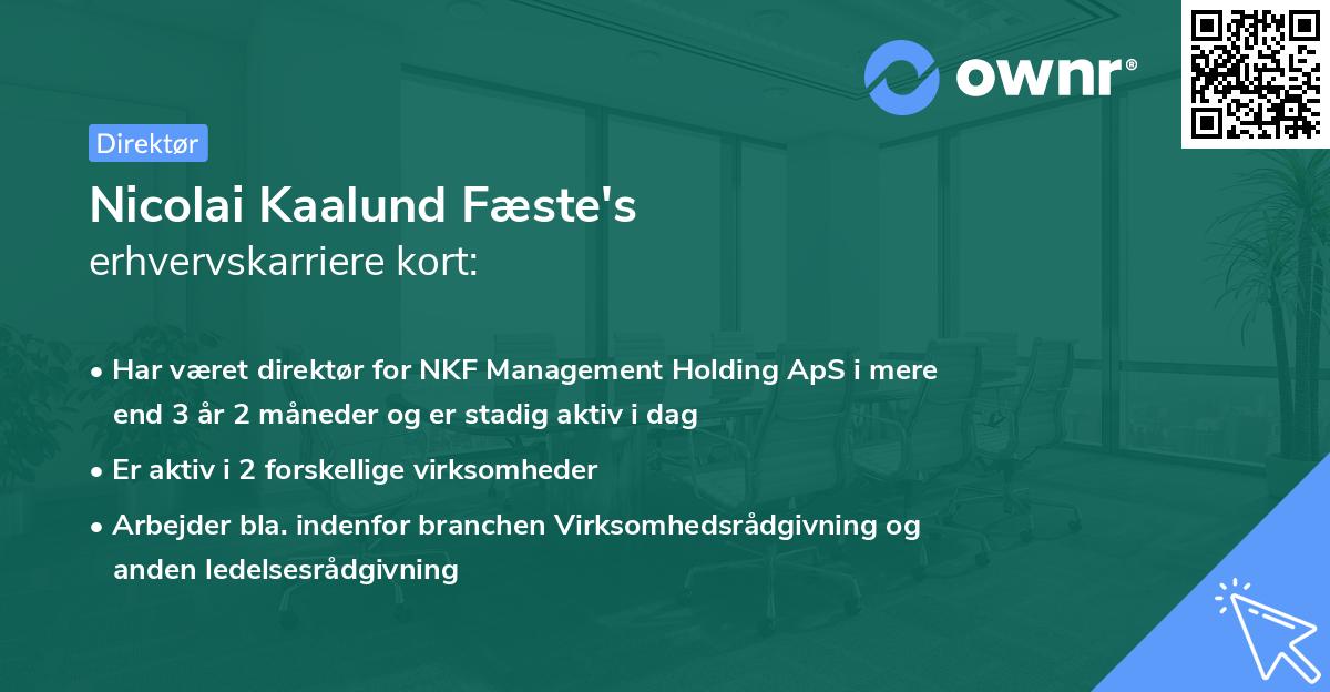 Nicolai Kaalund Fæste's erhvervskarriere kort