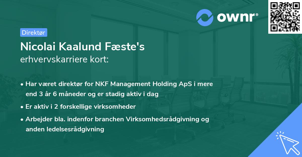 Nicolai Kaalund Fæste's erhvervskarriere kort