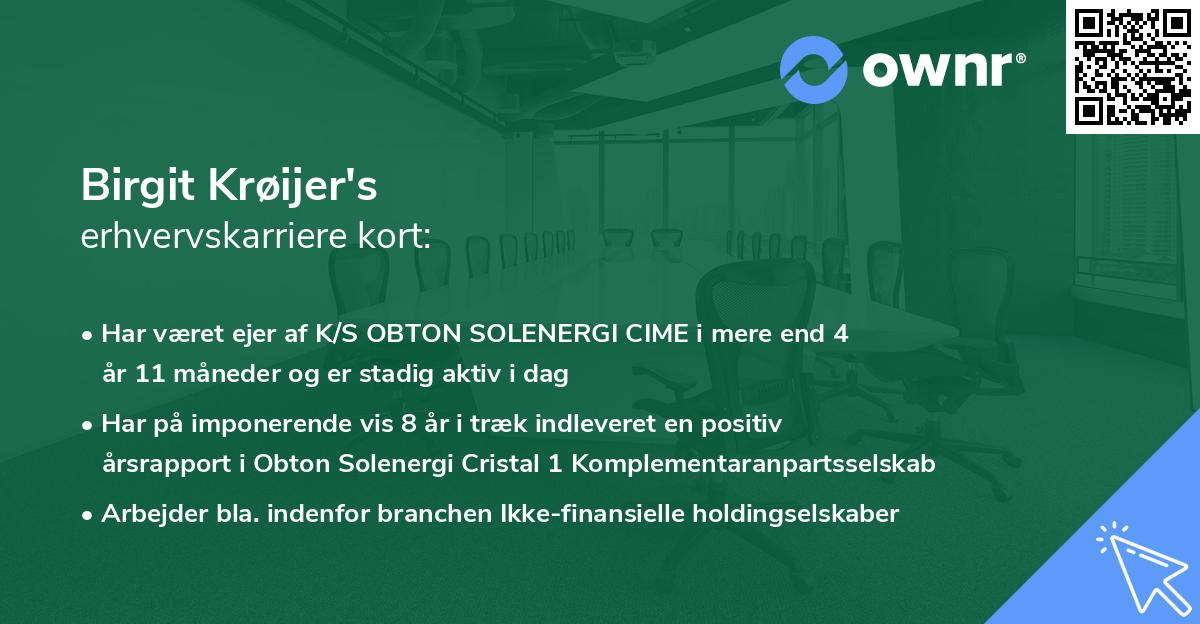 Birgit Krøijer's erhvervskarriere kort