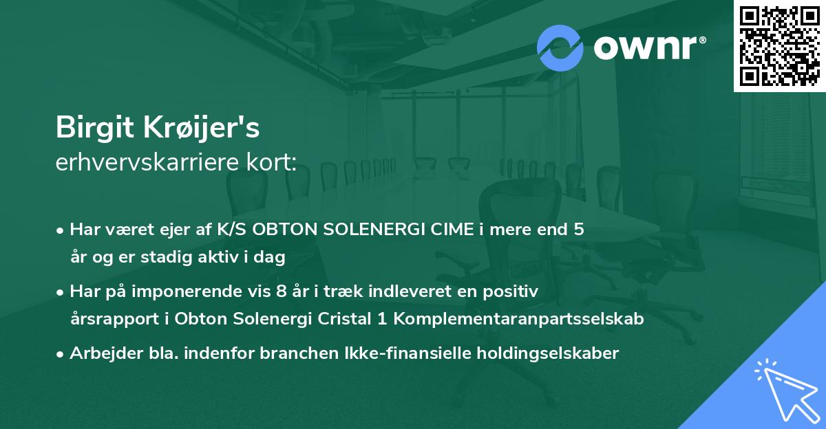 Birgit Krøijer's erhvervskarriere kort