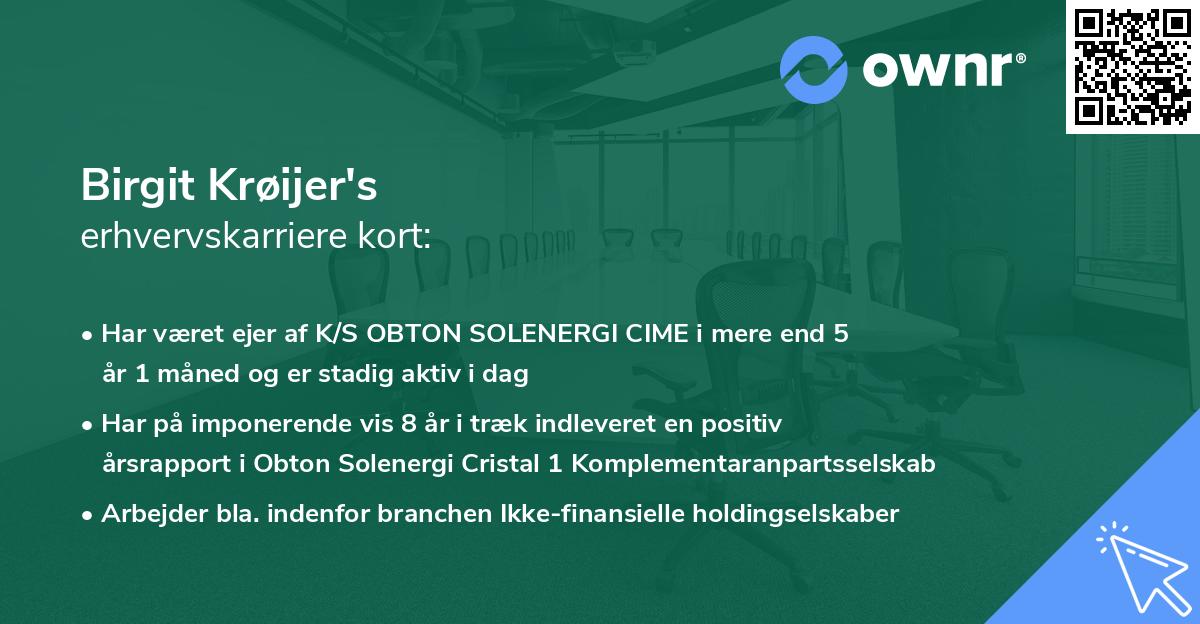 Birgit Krøijer's erhvervskarriere kort