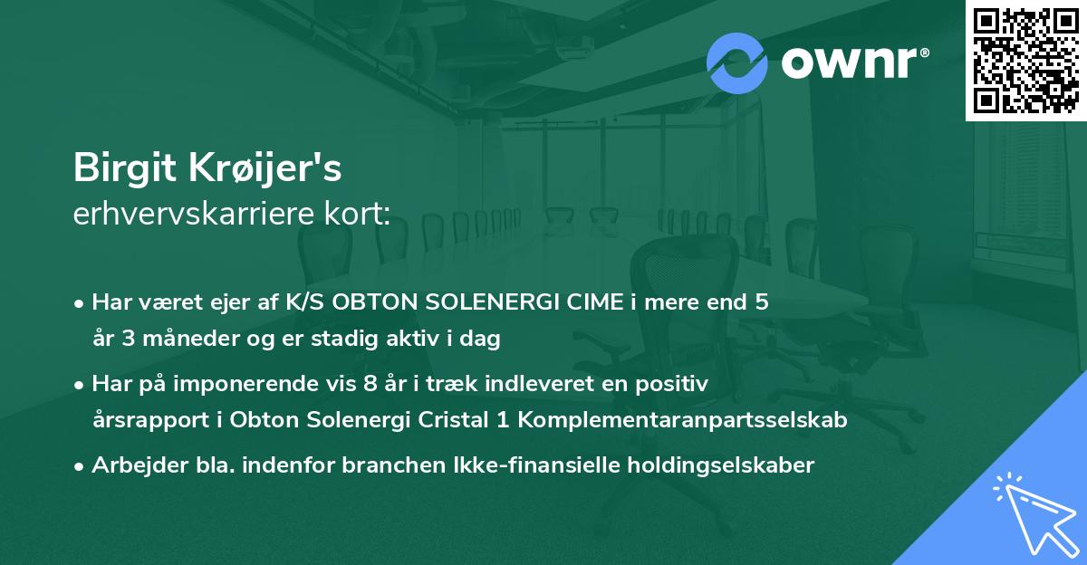 Birgit Krøijer's erhvervskarriere kort
