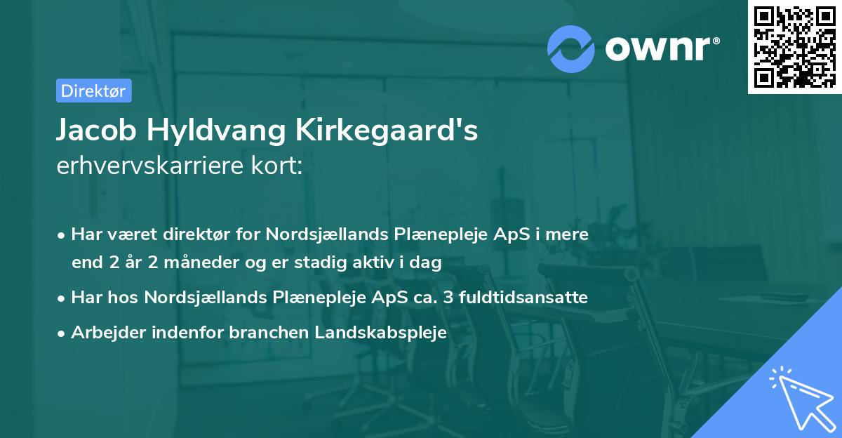 Jacob Hyldvang Kirkegaard's erhvervskarriere kort