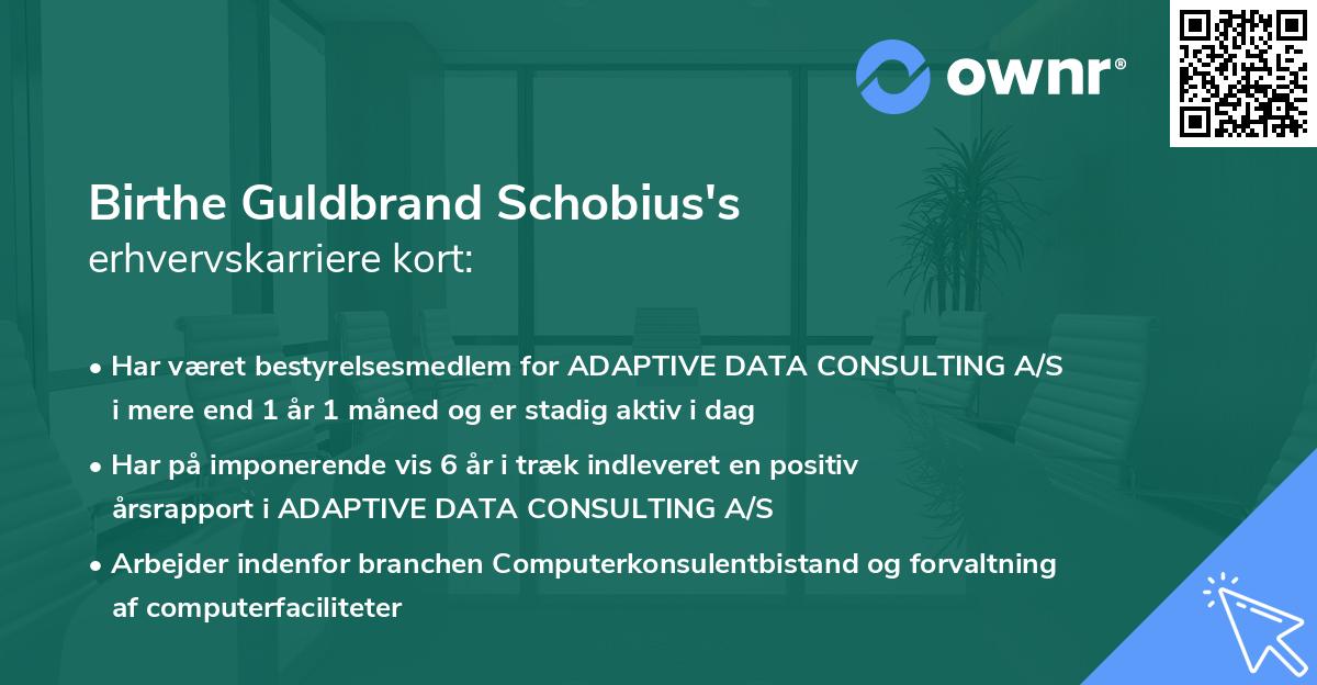 Birthe Guldbrand Schobius's erhvervskarriere kort