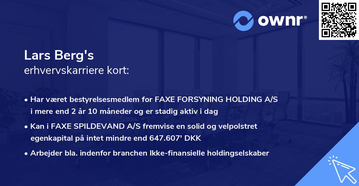 Lars Berg's erhvervskarriere kort