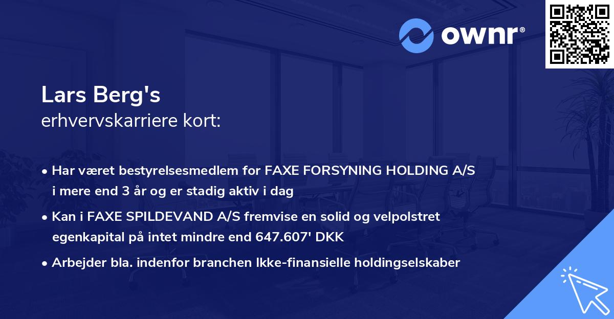 Lars Berg's erhvervskarriere kort
