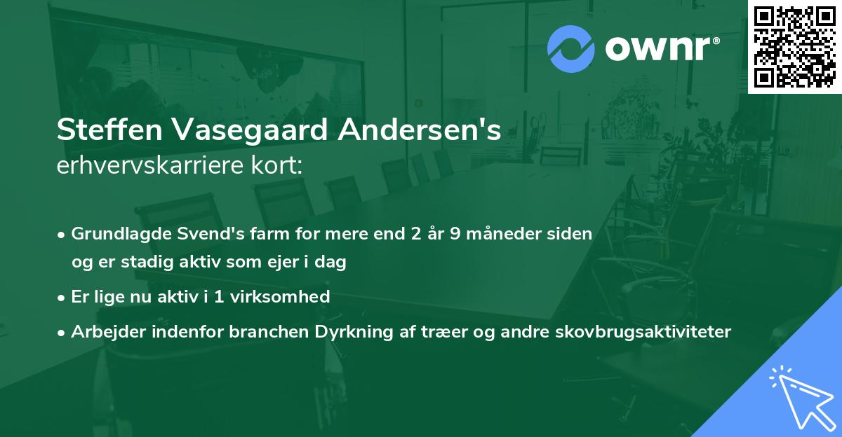 Steffen Vasegaard Andersen's erhvervskarriere kort