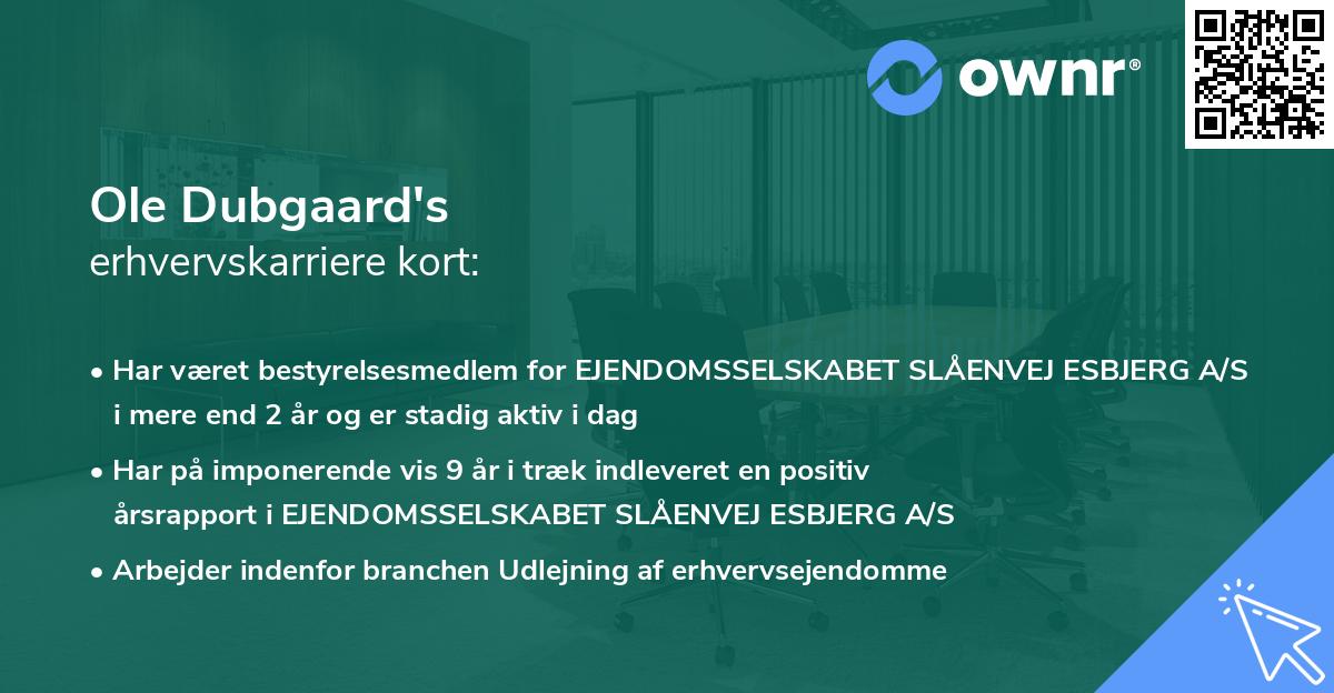 Ole Dubgaard's erhvervskarriere kort