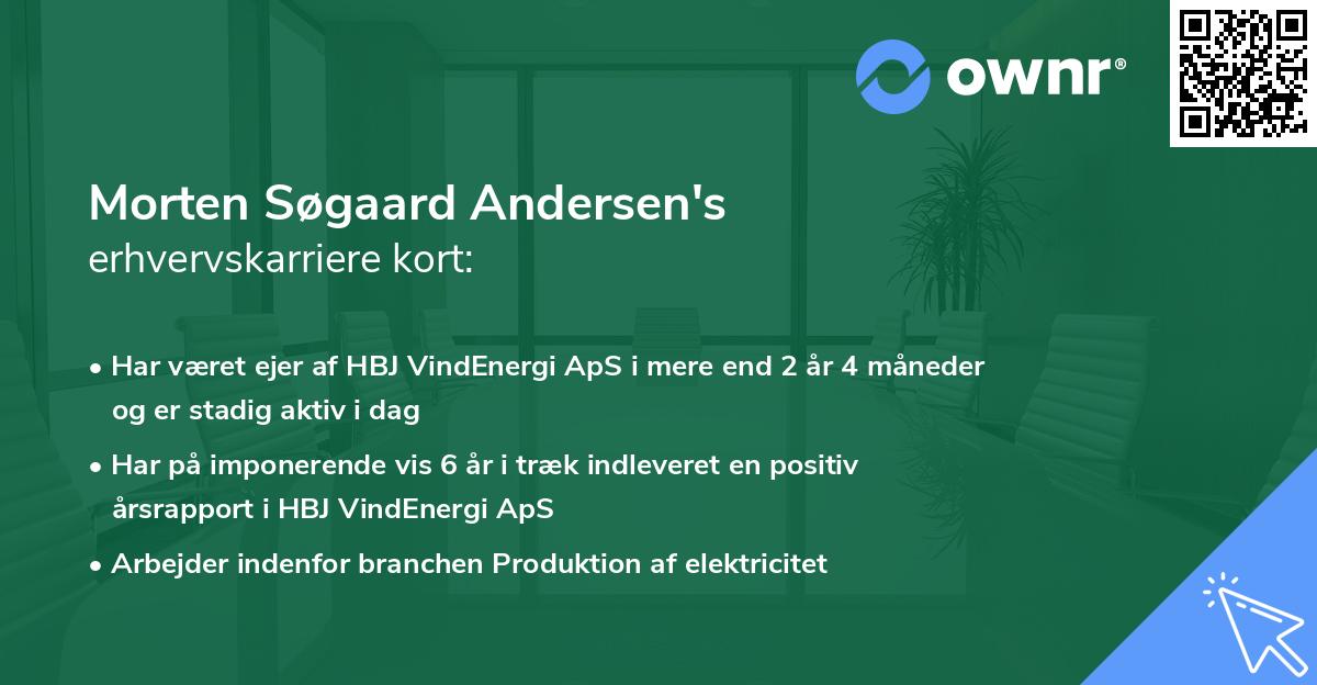 Morten Søgaard Andersen's erhvervskarriere kort