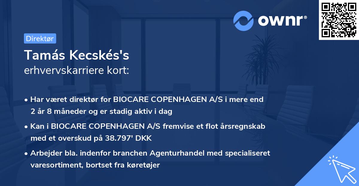 Tamás Kecskés's erhvervskarriere kort