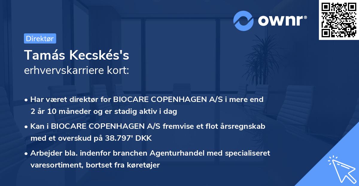 Tamás Kecskés's erhvervskarriere kort