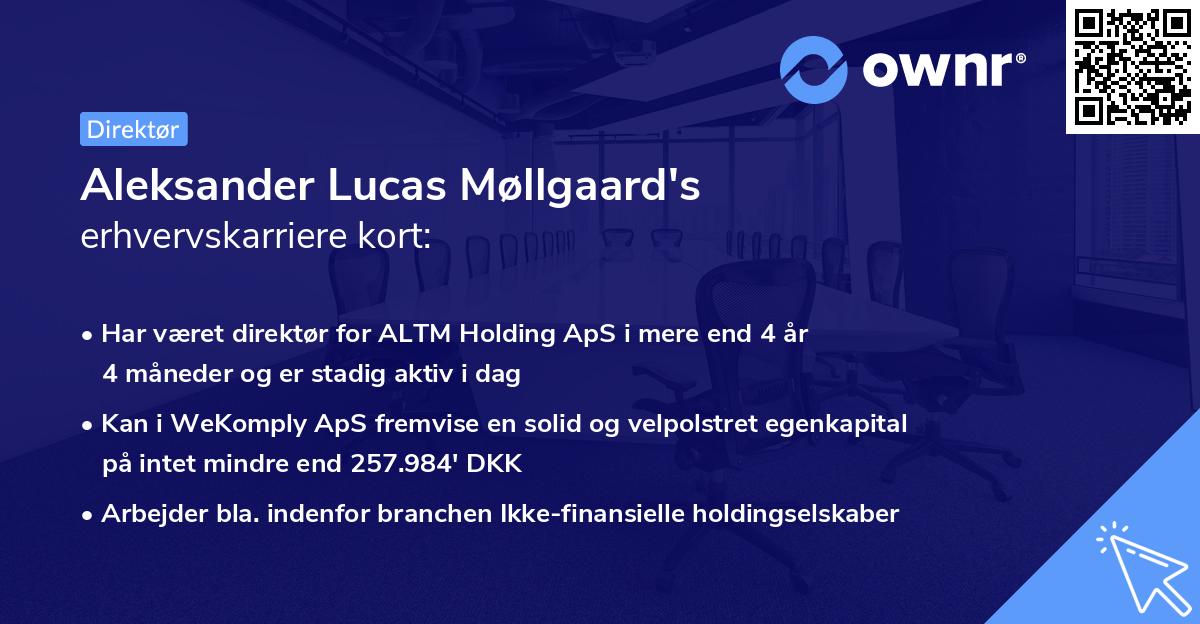 Aleksander Lucas Møllgaard's erhvervskarriere kort