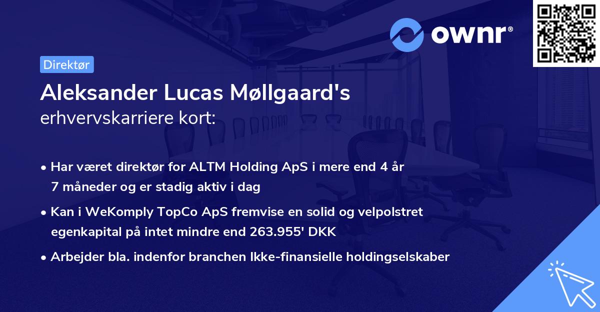 Aleksander Lucas Møllgaard's erhvervskarriere kort