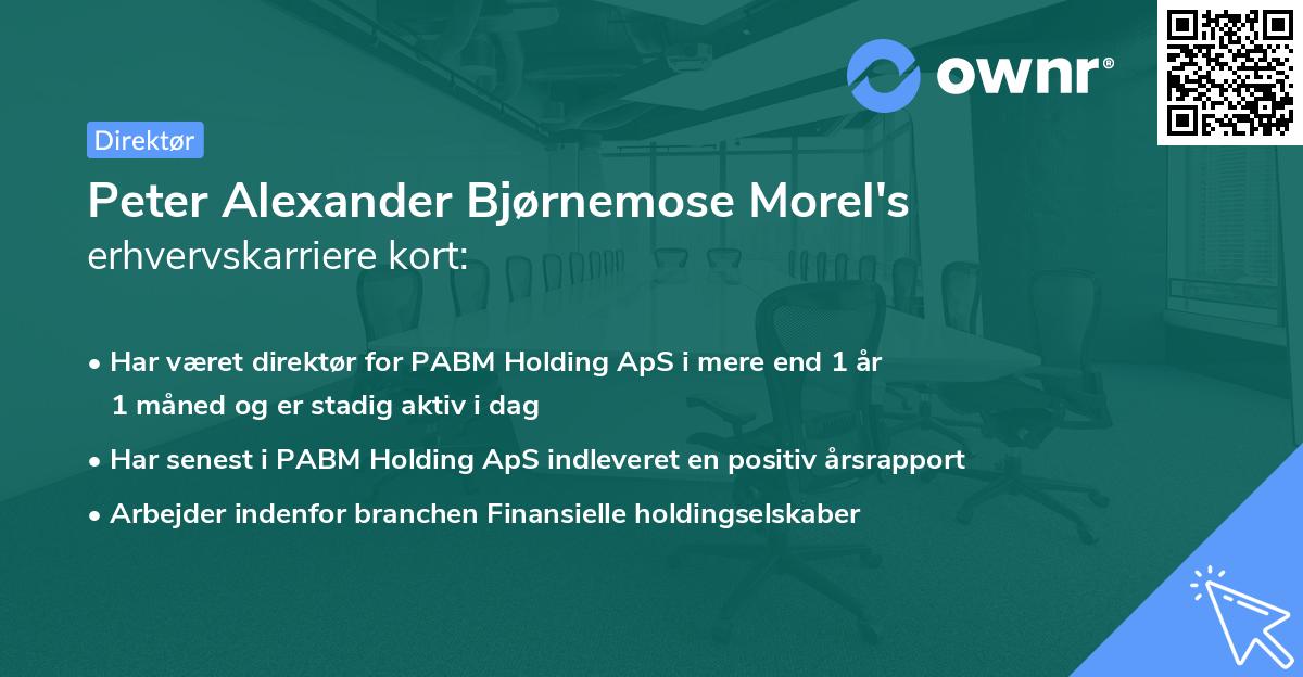 Peter Alexander Bjørnemose Morel's erhvervskarriere kort
