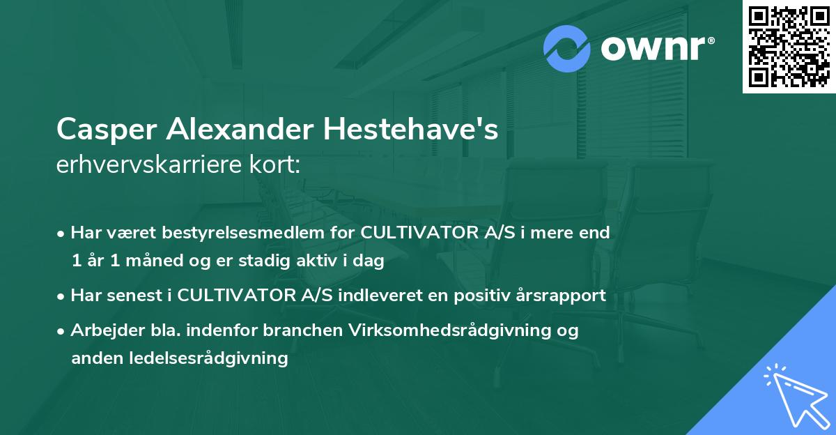 Casper Alexander Hestehave's erhvervskarriere kort
