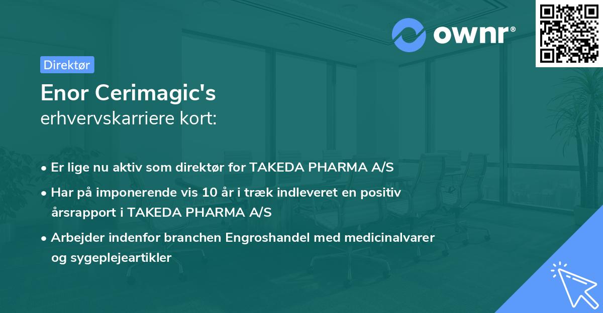 Enor Cerimagic's erhvervskarriere kort