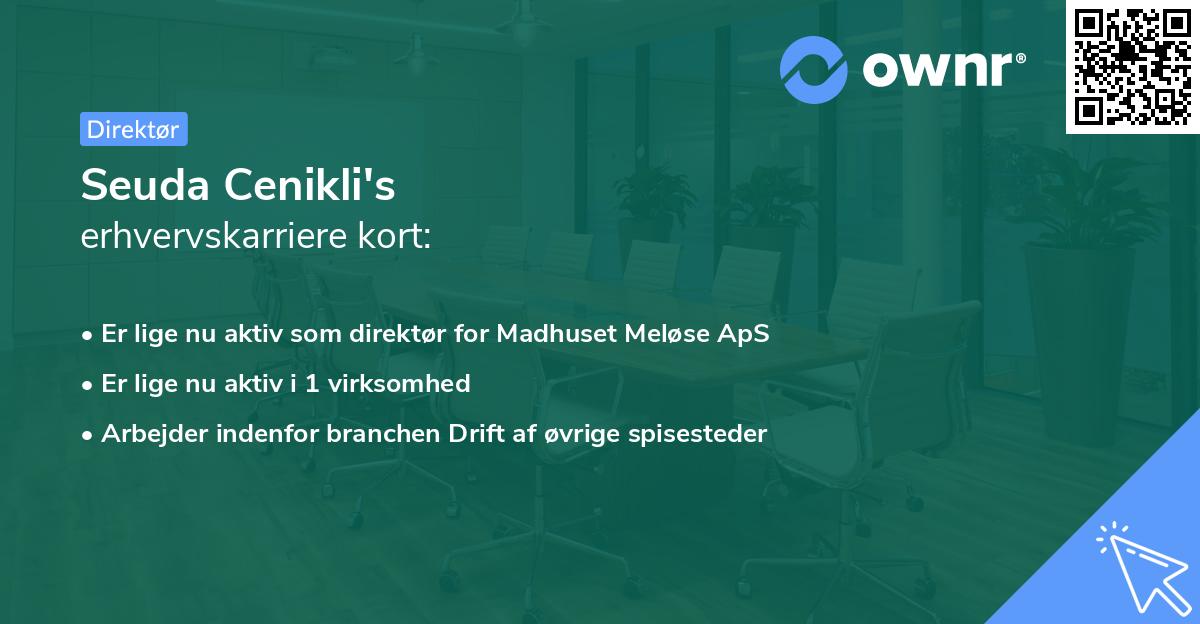 Seuda Cenikli's erhvervskarriere kort