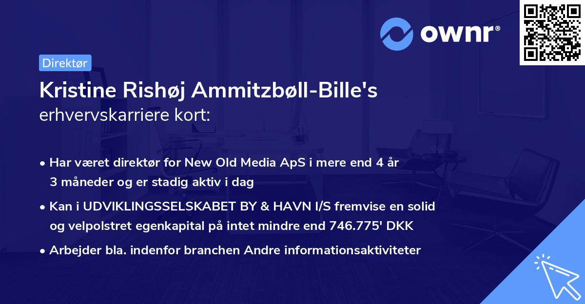 Kristine Rishøj Ammitzbøll-Bille's erhvervskarriere kort