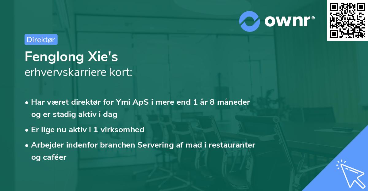 Fenglong Xie's erhvervskarriere kort