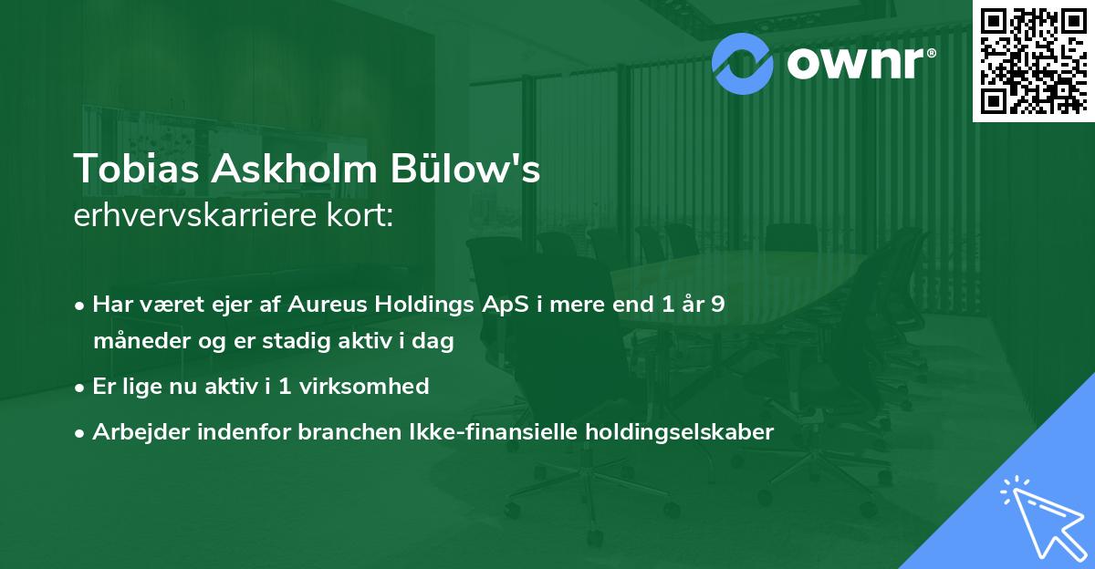 Tobias Askholm Bülow's erhvervskarriere kort