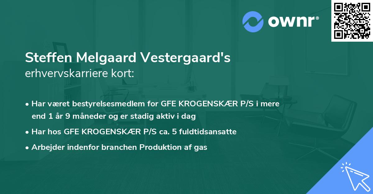 Steffen Melgaard Vestergaard's erhvervskarriere kort
