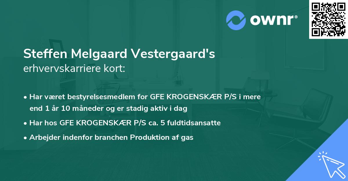 Steffen Melgaard Vestergaard's erhvervskarriere kort