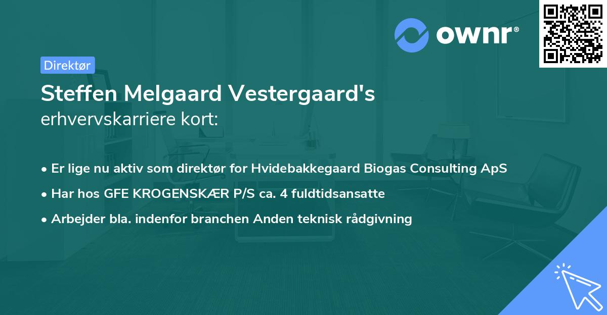Steffen Melgaard Vestergaard's erhvervskarriere kort