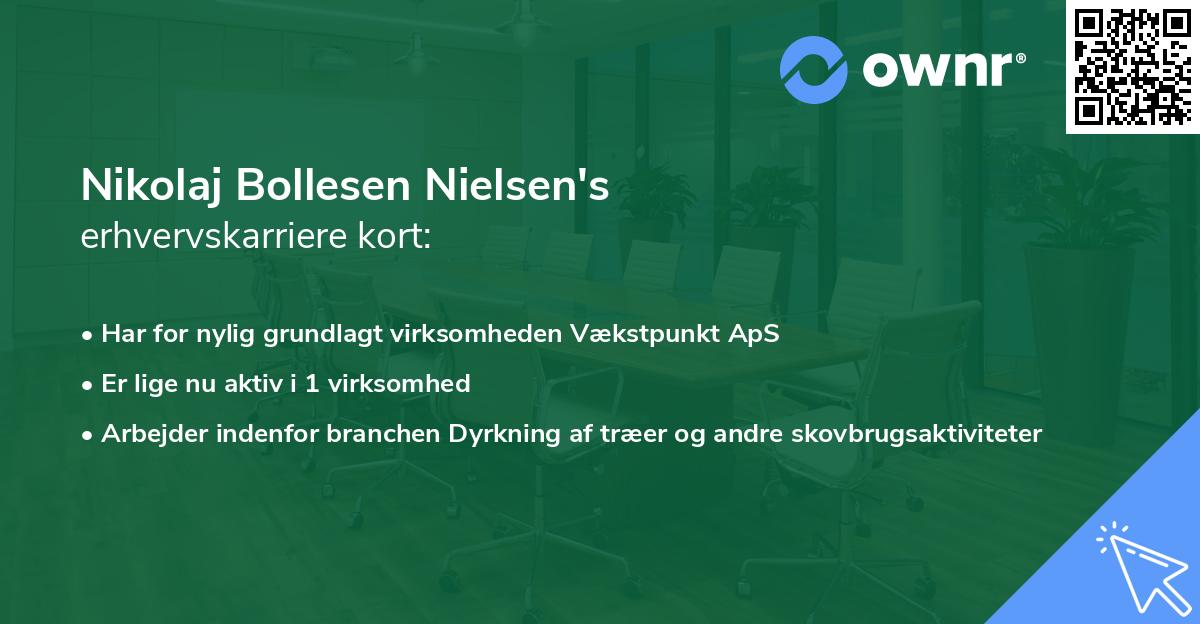 Nikolaj Bollesen Nielsen's erhvervskarriere kort