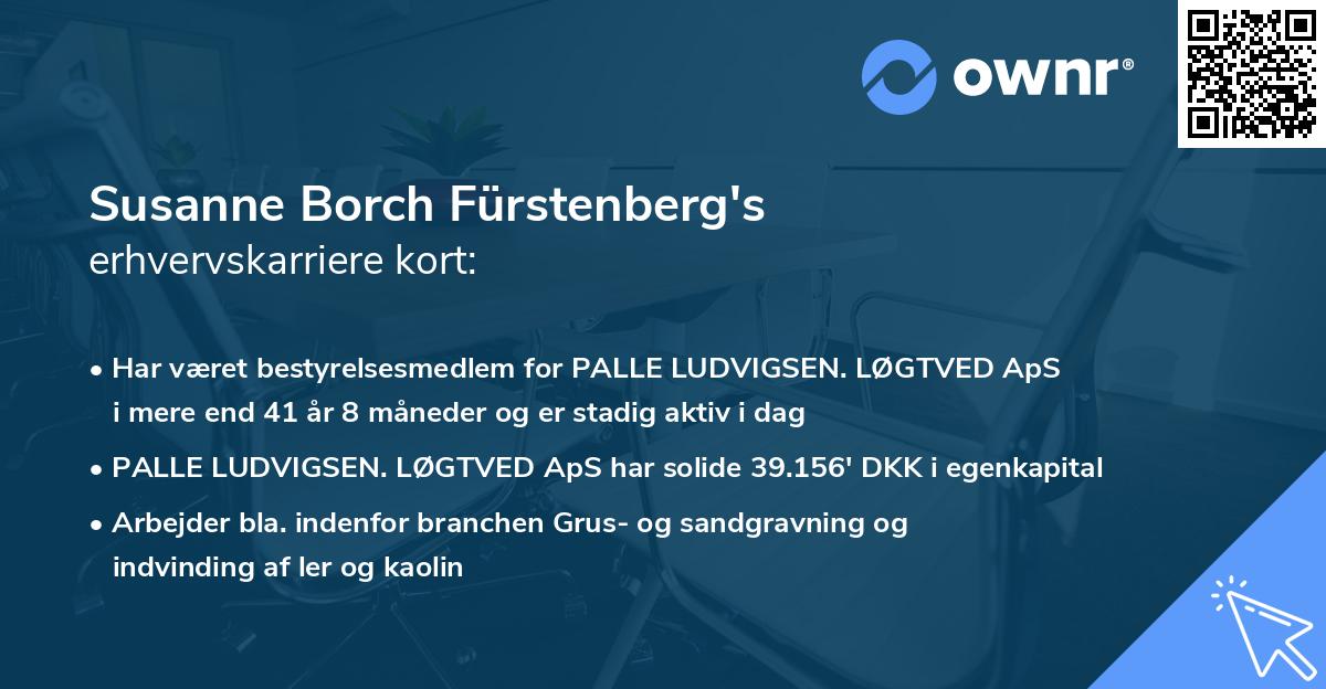 Susanne Borch Fürstenberg's erhvervskarriere kort
