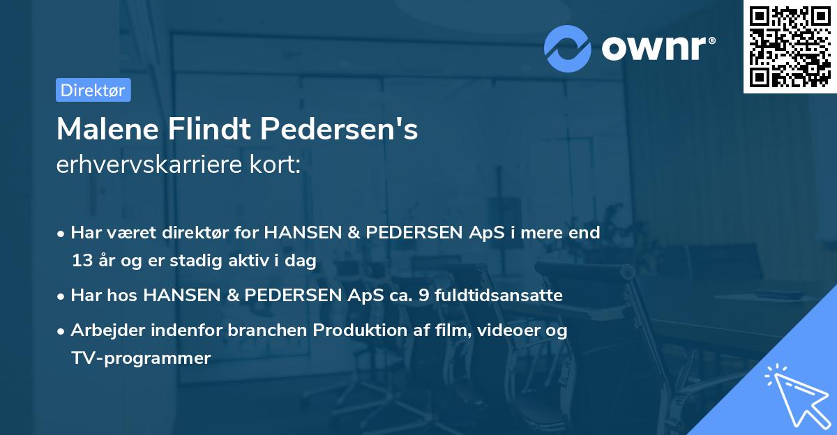 Malene Flindt Pedersen's erhvervskarriere kort