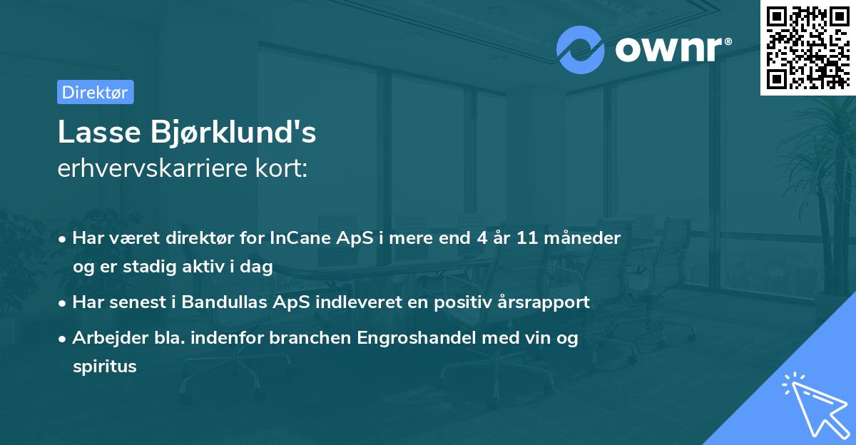Lasse Bjørklund's erhvervskarriere kort
