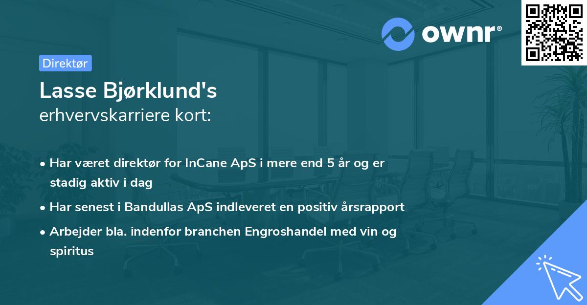 Lasse Bjørklund's erhvervskarriere kort