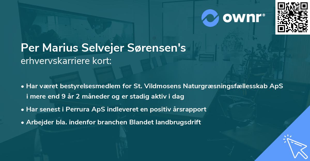 Per Marius Selvejer Sørensen's erhvervskarriere kort