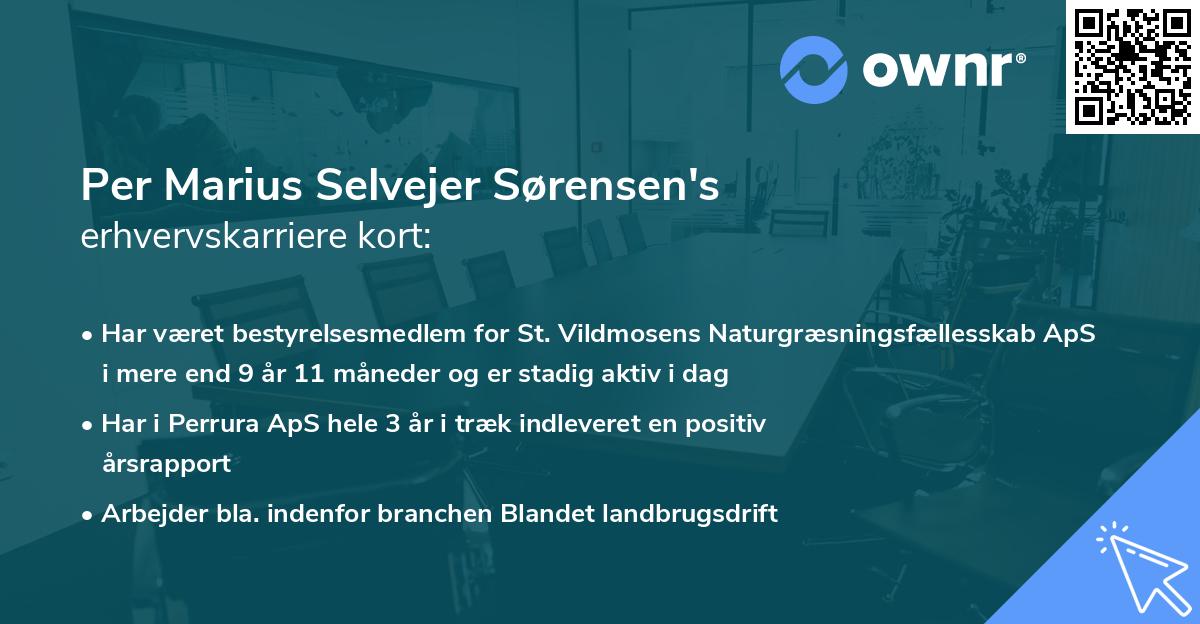 Per Marius Selvejer Sørensen's erhvervskarriere kort