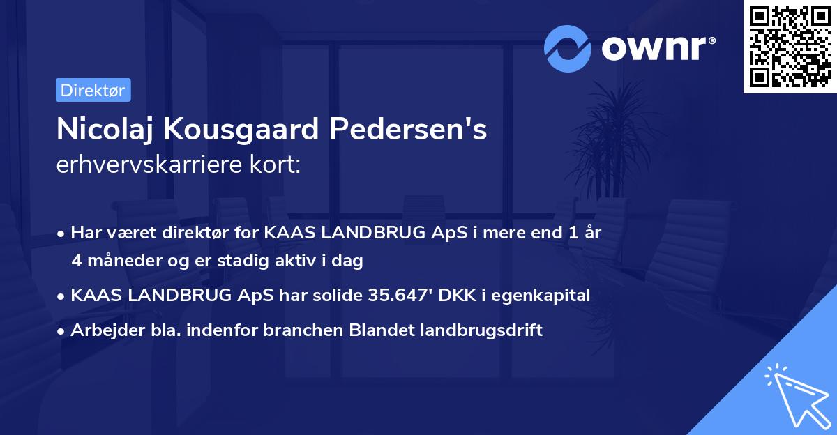 Nicolaj Kousgaard Pedersen's erhvervskarriere kort