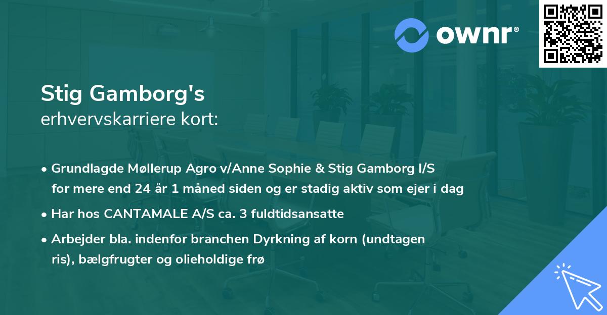 Stig Gamborg's erhvervskarriere kort