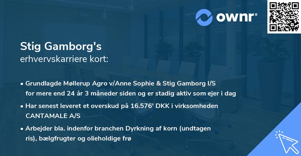 Stig Gamborg's erhvervskarriere kort