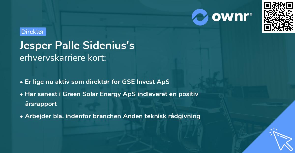 Jesper Palle Sidenius's erhvervskarriere kort