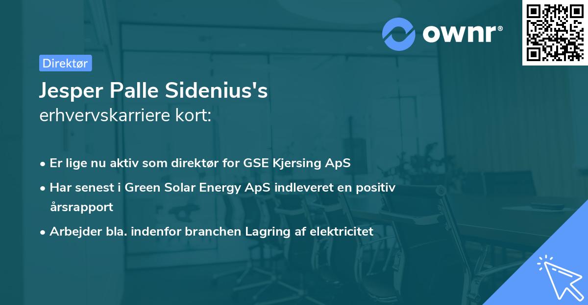 Jesper Palle Sidenius's erhvervskarriere kort