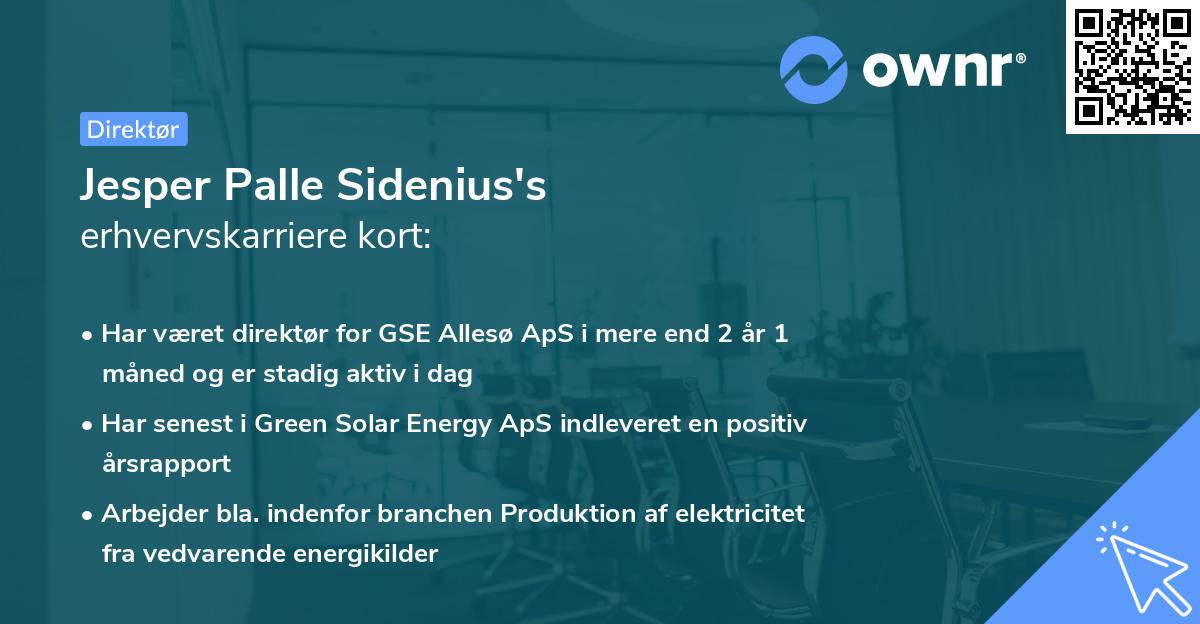 Jesper Palle Sidenius's erhvervskarriere kort