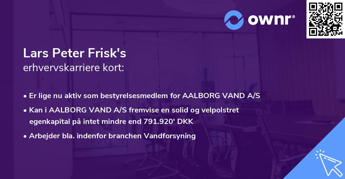 Lars Peter Frisk's erhvervskarriere kort