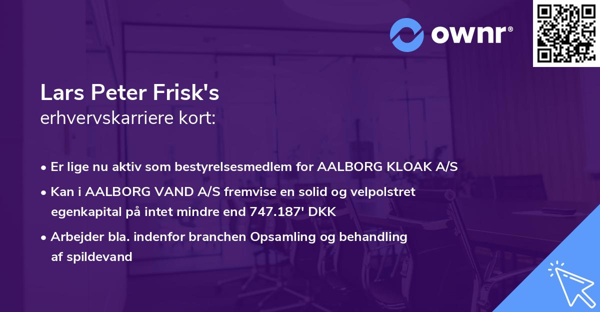 Lars Peter Frisk's erhvervskarriere kort