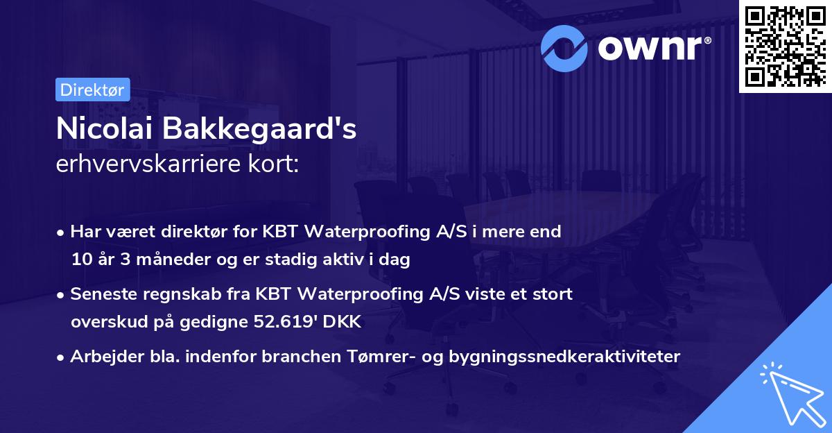 Nicolai Bakkegaard's erhvervskarriere kort