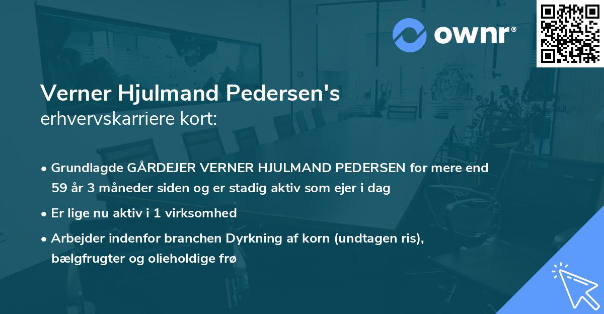 Verner Hjulmand Pedersen's erhvervskarriere kort