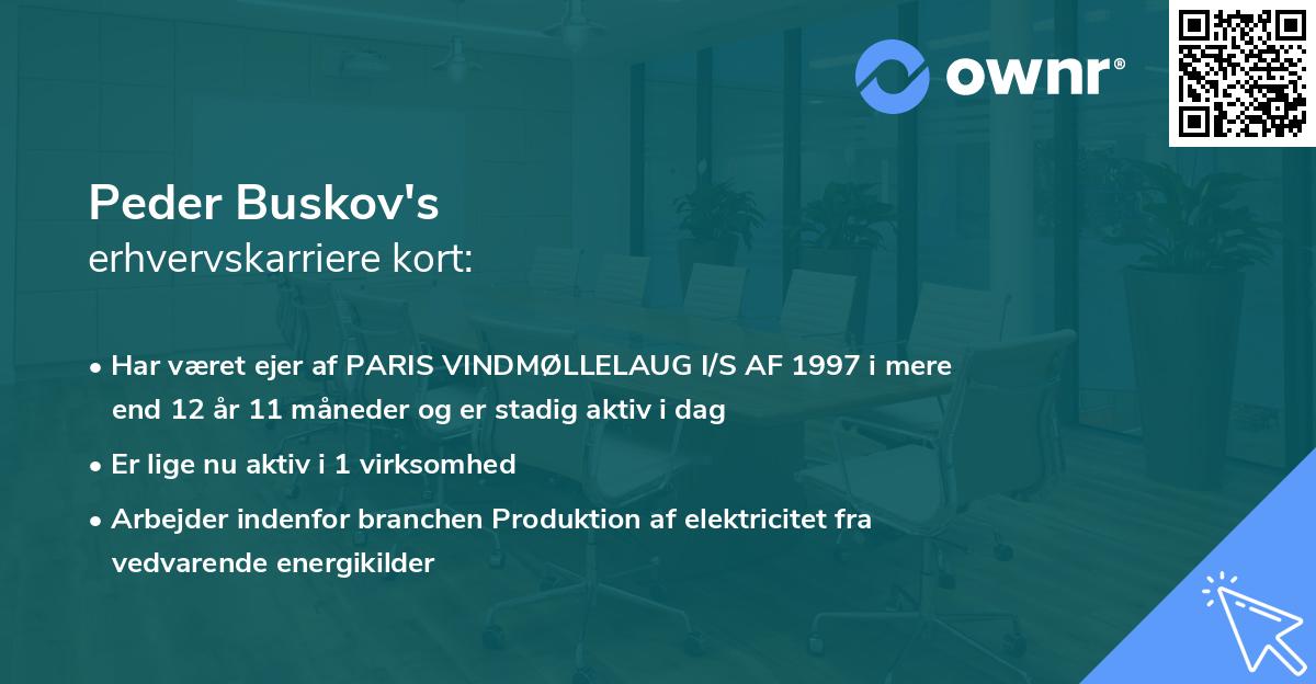 Peder Buskov's erhvervskarriere kort