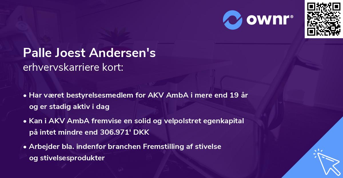 Palle Joest Andersen's erhvervskarriere kort