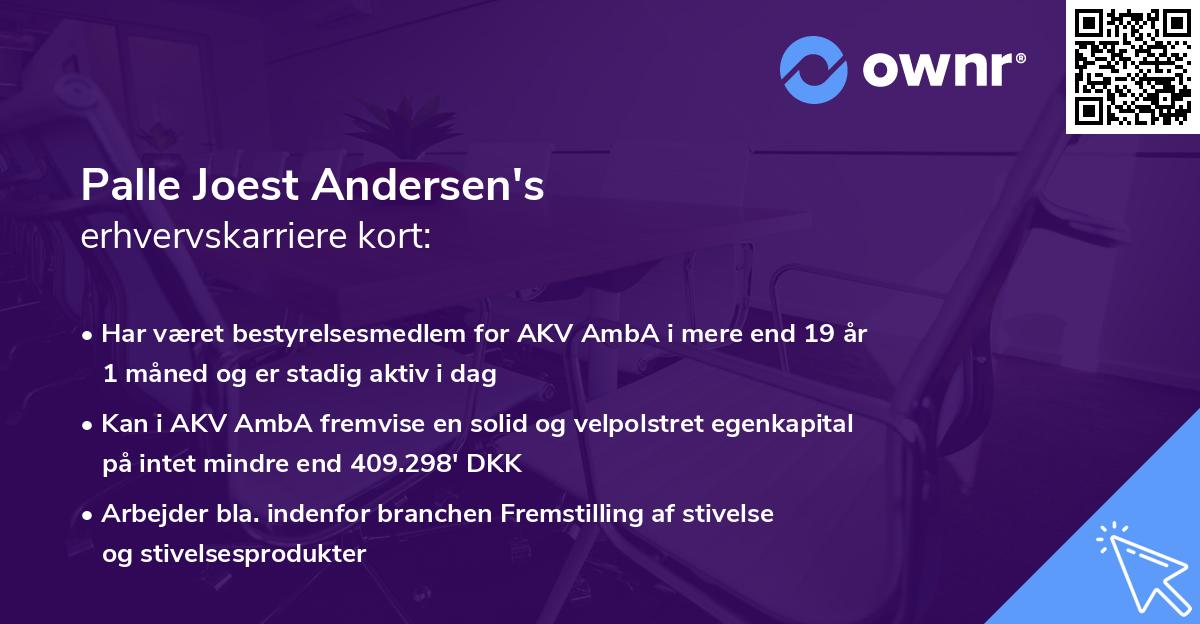 Palle Joest Andersen's erhvervskarriere kort
