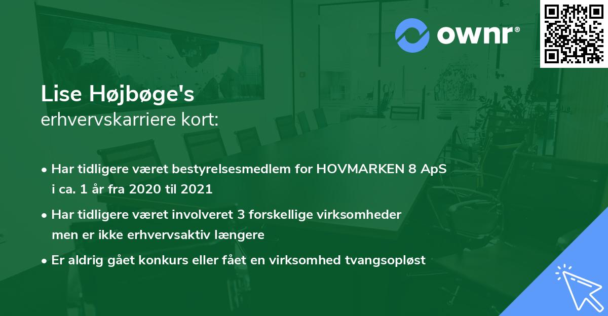 Lise Højbøge's erhvervskarriere kort