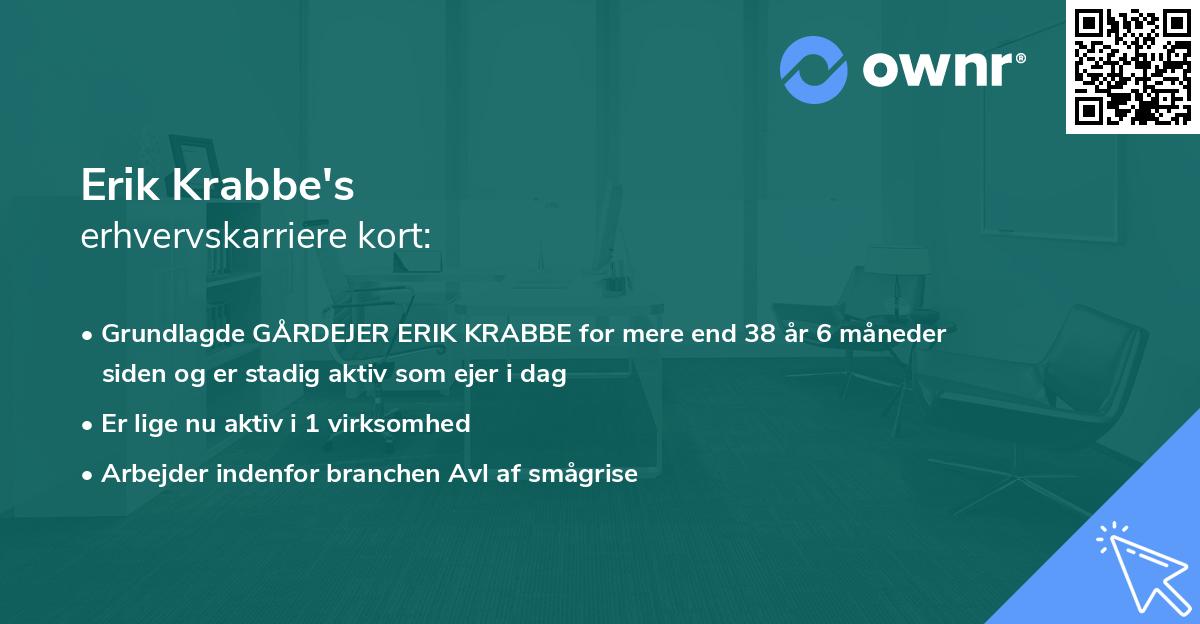 Erik Krabbe's erhvervskarriere kort