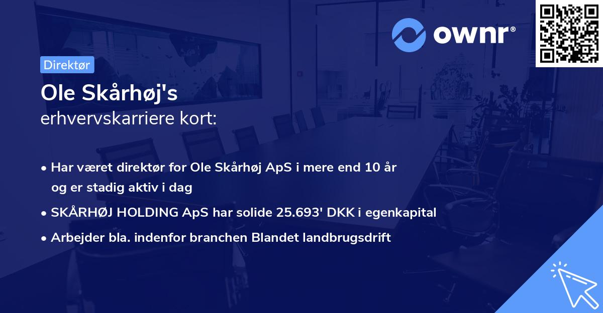 Ole Skårhøj's erhvervskarriere kort